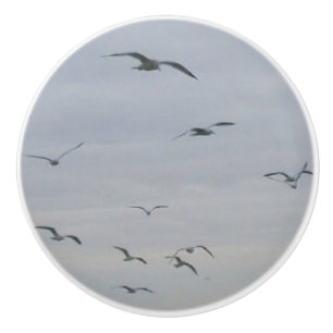 Seagulls Ceramic Knob