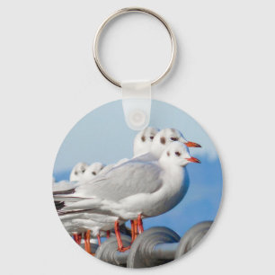 Seagulls Cute Bird Key Ring