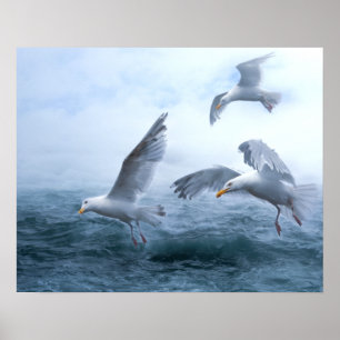 Seagulls Flight over the Sea Poster
