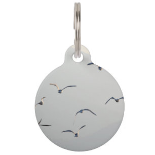 Seagulls Flock Flying Pet Tag