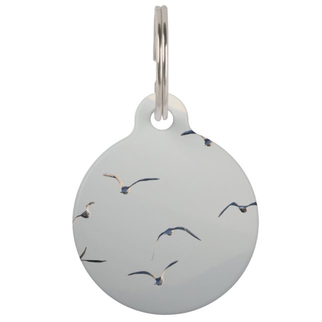 Seagulls Flock Flying  Pet Tag (Front)
