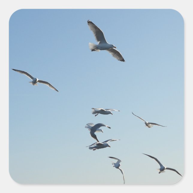 Seagulls Flying Coastal Nature Art Ocean Bird  Square Sticker (Front)
