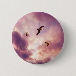Seagulls flying in a sunset sky 6 cm round badge