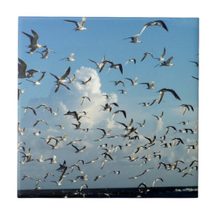 seagulls flying over beach ceramic tile