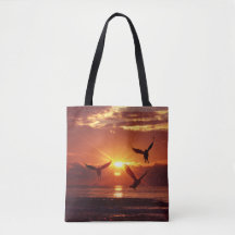 Seagulls Flying Under Golden Sunset