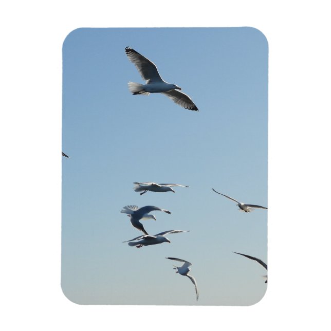Seagulls Flying Vertical Flexible Photo Magnet (Vertical)