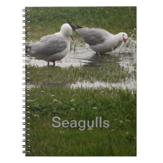 Seagulls in a Puddle Notebook