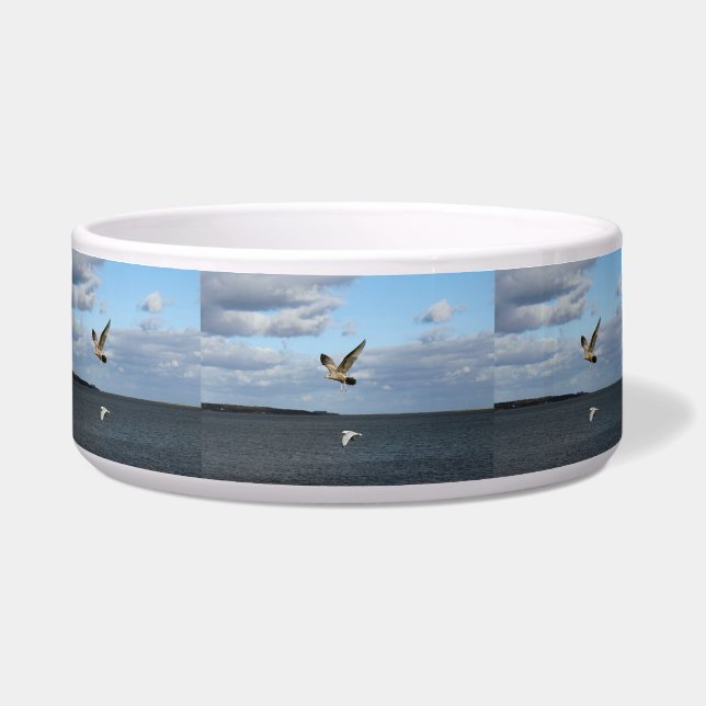 Seagulls in Flight (Front)