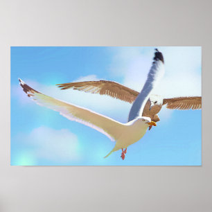 Seagulls in Flight Canvas Print