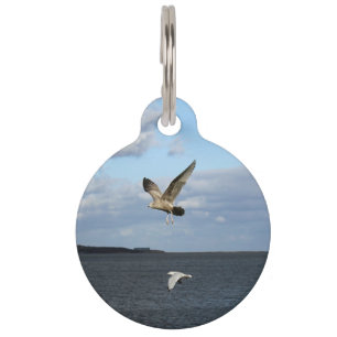 Seagulls in Flight Pet Tag