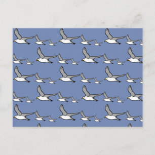 Seagulls in flight postcard