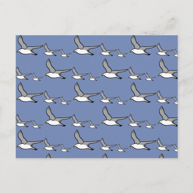 Seagulls in flight postcard (Front)