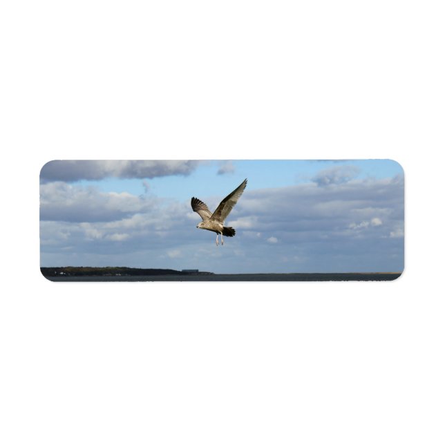 Seagulls in Flight Return Address Label (Front)