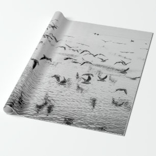 Seagulls in motion, black and white fine art image wrapping paper