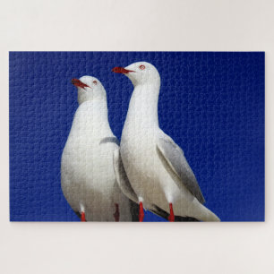 seagulls jigsaw puzzle