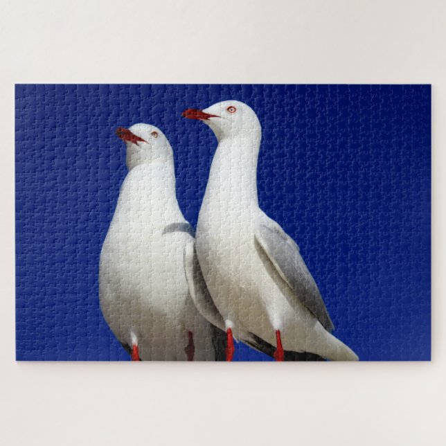 seagulls jigsaw puzzle (Horizontal)