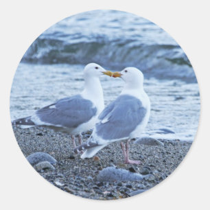Seagulls Kissing on the Beach Photo Classic Round Sticker