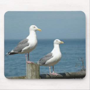 Seagulls Mouse Pad