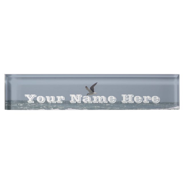 Seagulls Name Plate (Front)
