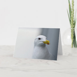 Seagulls Need Love Too Card