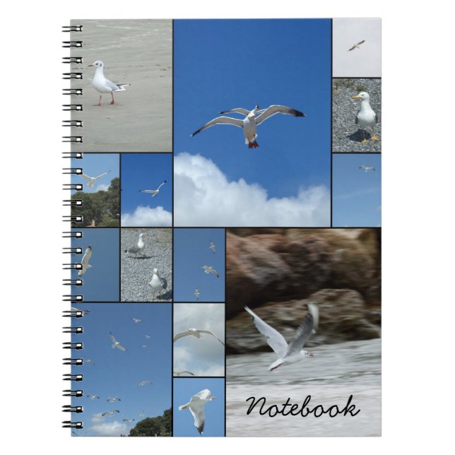 Seagulls Notebook (Front)