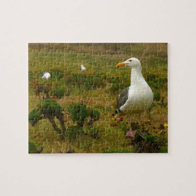 Seagulls on Anacapa Island Jigsaw Puzzle (Horizontal)
