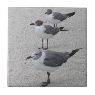 Seagulls on the Beach Ceramic Tile