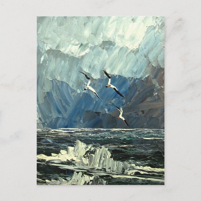 Seagulls on the sea postcard (Front)