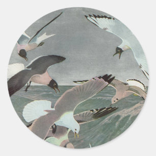 Seagulls Over Ocean Waves by Louis Agassiz Fuertes Classic Round Sticker