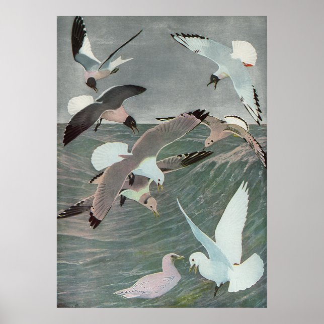 Seagulls Over Ocean Waves by Louis Agassiz Fuertes Poster (Front)