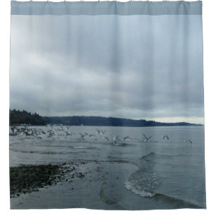 Seagulls Over Puget Sound Beach Shower Curtain