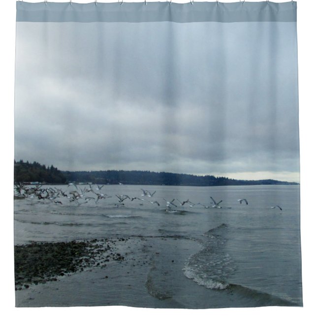 Seagulls Over Puget Sound Beach Shower Curtain (Front)