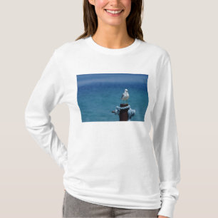 Seagulls Paradise At Mackinac Long Sleeve T-Shirt