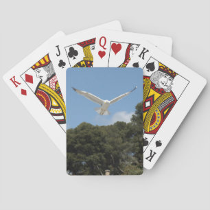 Seagulls Playing Cards