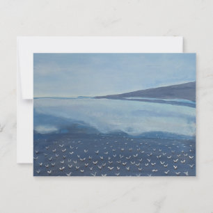 Seagulls Postcard