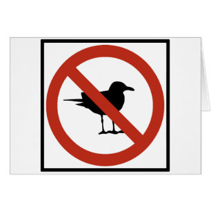 Seagulls Prohibited