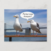 Seagulls speak French
