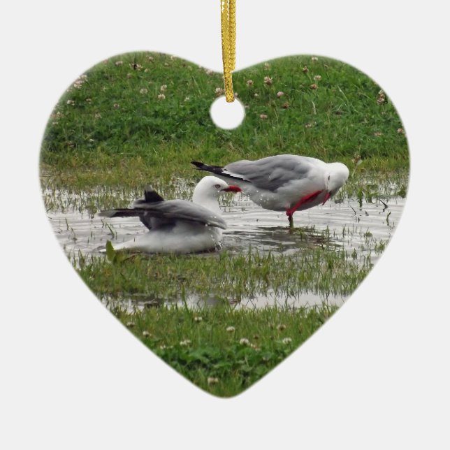 Seagulls Taking a Bath Ceramic Tree Decoration (Front)