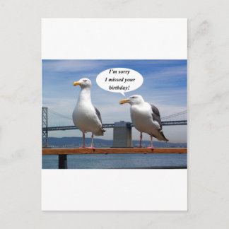 Seagulls talking postcard