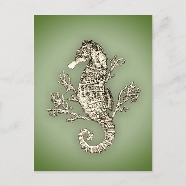 Seahorse and Coral on Green Background Postcard (Front)