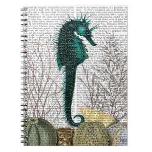 SeaHorse and Sea Urchins 2 Notebook