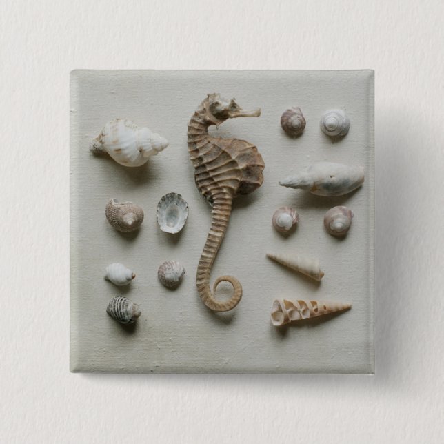 Seahorse And Shells 15 Cm Square Badge (Front)