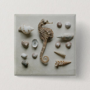 Seahorse And Shells 15 Cm Square Badge