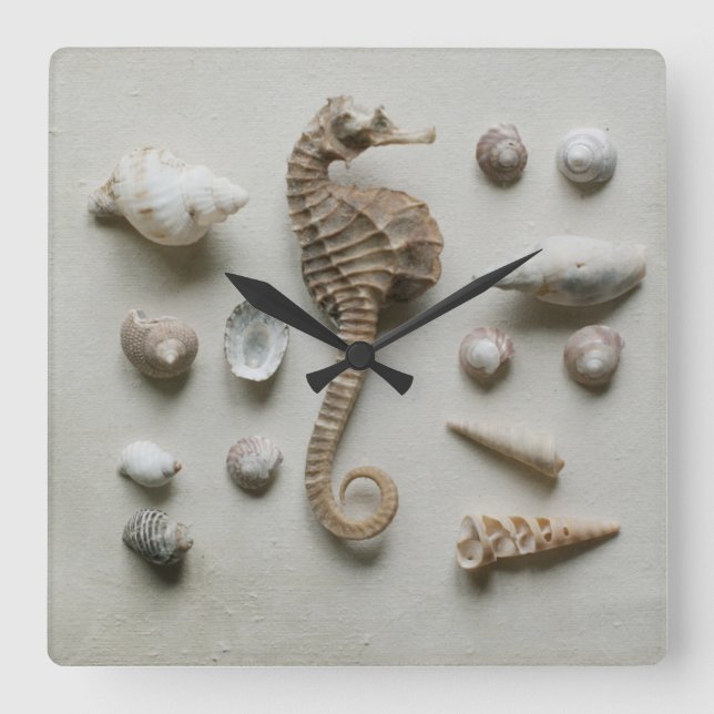Seahorse And Shells Square Wall Clock (Front)