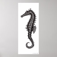 Seahorse black and white drawing art poster