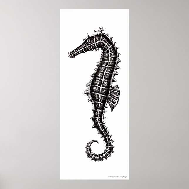 Seahorse black and white drawing art poster (Front)