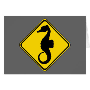 Seahorse Crossing !