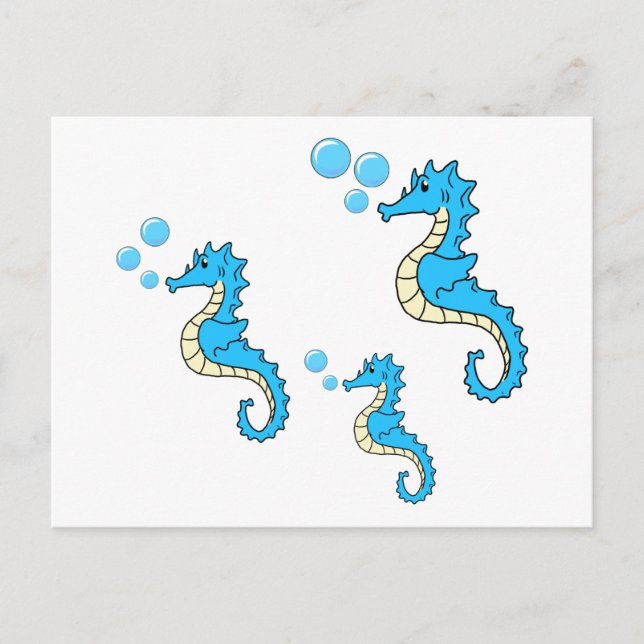Seahorse Family Postcard (Front)