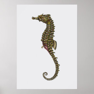 Seahorse Illustration Poster