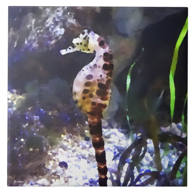 Seahorse in Aquarium Ceramic Tile (Front)